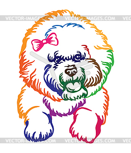 Bichon frise dog abstract color portrait - vector image
