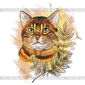 Cute tabby cat in leaves - vector image