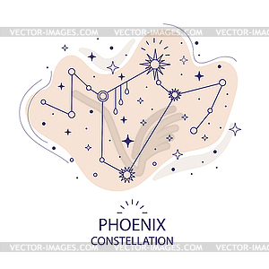 Star constellation Phoenix - vector image