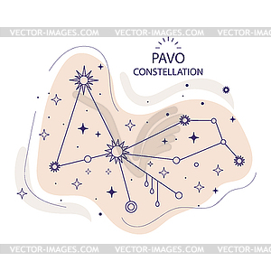 Star constellation Pavo - vector clip art