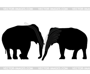 Elephants in love - vector image