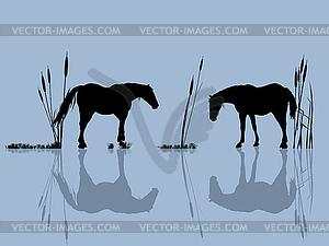 Лошади в воде - векторный клипарт EPS