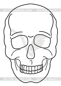 Human skull contour - vector clipart