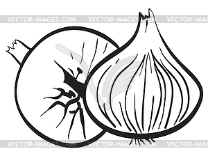 Contour of two onions - vector image