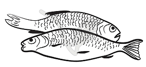 Contour of two fish - white & black vector clipart