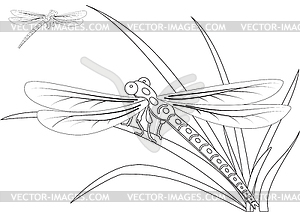 Silhouettes of two dragonflies - vector image