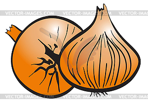 Two ripe onions - vector EPS clipart