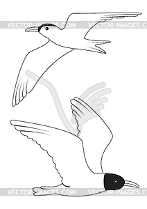 Two white birds - vector clipart