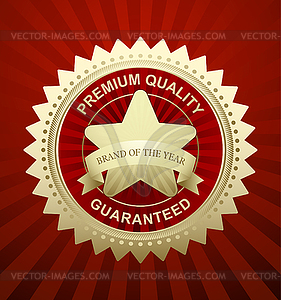 Award Star - vector image