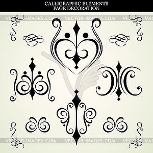 CALLIGRAPHIC ELEMENTS - vector image