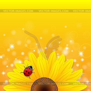 Sunflower and ladybird on yellow background - vector clipart