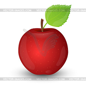 Red apple  - vector clipart