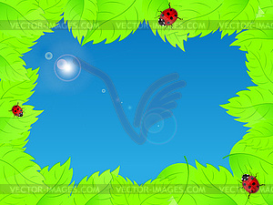 Background with fresh green leaves and ladybirds - vector image