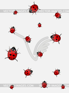 Ladybirds .  - vector clip art