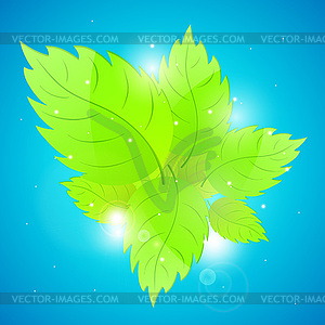 Background with fresh green leaves - vector clip art