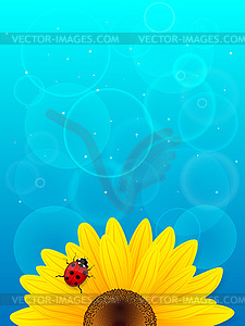 Sunflower and ladybird on blue background - vector clipart