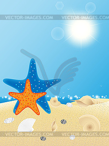 Shells and starfishes on sand background - vector clipart