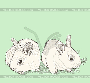 Two bunnies drawing - vector clip art