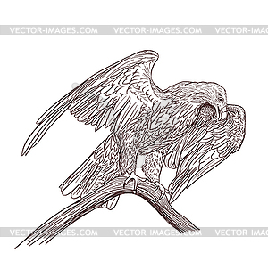 Eagle monochrome drawing - vector clipart