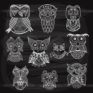 10 chalk drawn owls on blackboard - vector clip art