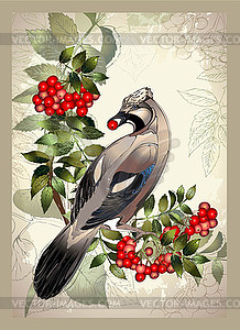 Bird jay on mountain ash branch.Greeting card with - vector image