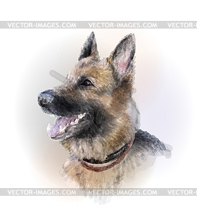 Portrait of german shepherd dog - vector image