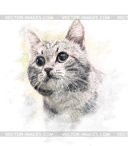 Watercolor portrait of cat - vector clipart