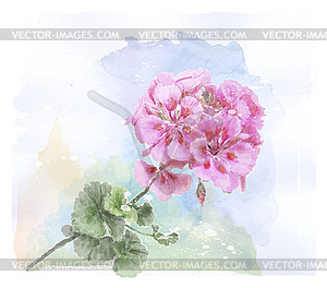 Watercolor pink geranium flower - vector clipart