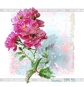 Watercolor pink roses - vector clipart