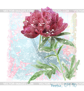 Watercolor red peony flower - vector clip art