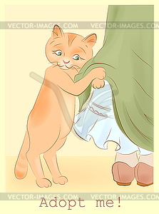 Cat asks girl about adoption - vector clipart