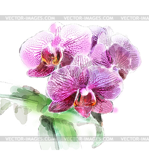 Акварель орхидеи завтрак - векторный клипарт / векторное изображение