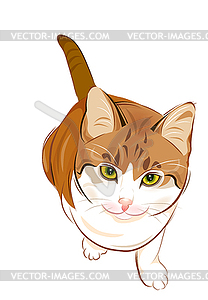 Portrait of charming ginger cat - vector clipart