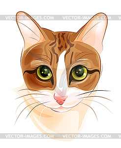 Portrait of charming ginger cat - vector image