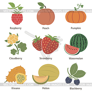 Fruits and berries - color vector clipart