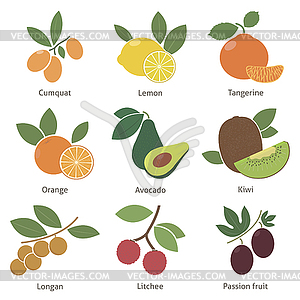 Набор фруктов и ягод - векторный клипарт Royalty-Free
