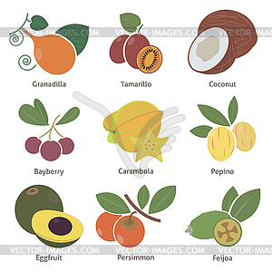 Набор фруктов и ягод - рисунок в векторе