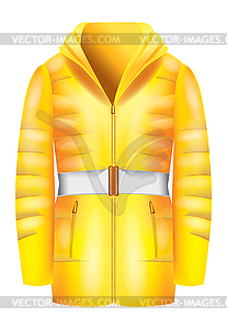 Yellow jacket - vector clipart