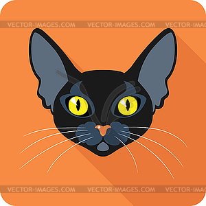 Bombay Black Cat icon flat design - vector image