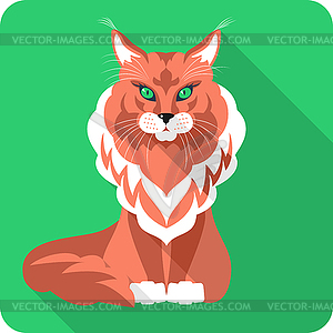 Cat Maine Coon icon flat design - vector image