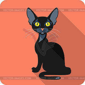 Bombay Black Cat icon flat design - vector clipart