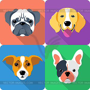 Set dog icon flat design - vector image