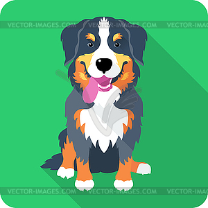 Bernese Mountain Dog dog icon flat design - vector image