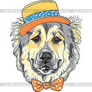 Dog Caucasian Shepherd Dog breed in hat and bow tie - vector clipart / vector image