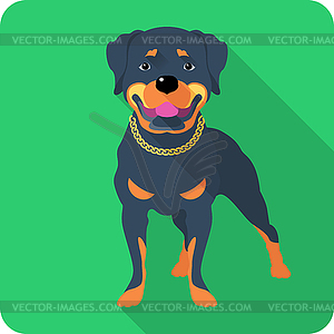 Dog Rottweiler icon flat design - vector clipart