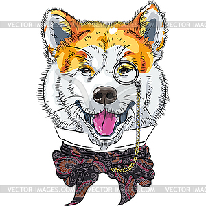 Funny cartoon hipster dog Akita Inu - vector clipart