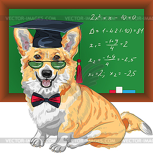 Graduated dog Pembroke Welsh corgi - vector image