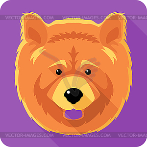 Dog chow-chow icon flat design - vector image