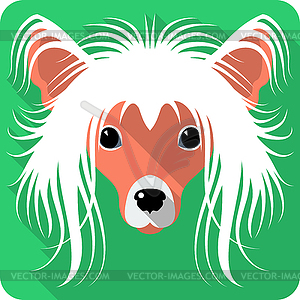 Dog Chinese Crested icon flat design - vector clip art