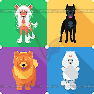 Set dog head icon flat design - vector image